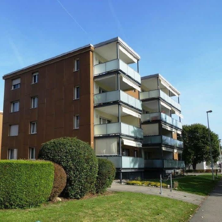 3 Zimmer, 63 m², 3. Stock - Foto 1