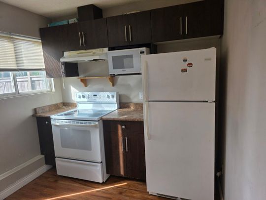 Delta basement suite - Photo 1