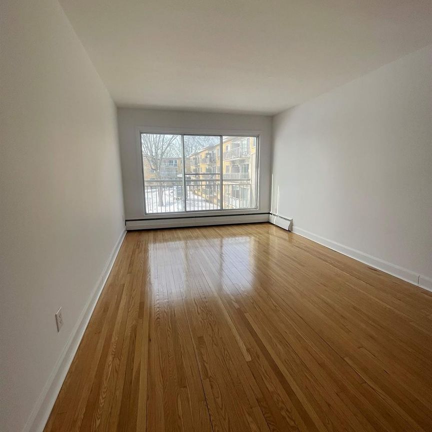 1 CH - 1 SDB - Montréal - $1,300 /mo - Photo 1