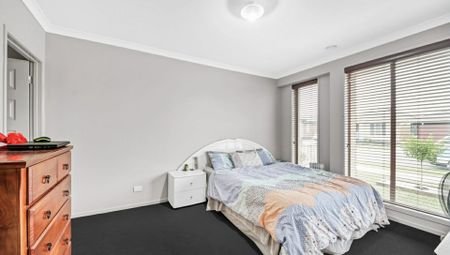 20 Limonium Crescent, Lyndhurst VIC - Photo 4