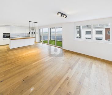 GREEN OASIS WITH LOTS OF EQUIPMENT - Foto 1