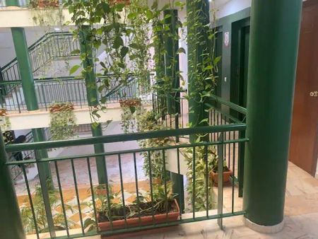 Sevilla - Foto 4