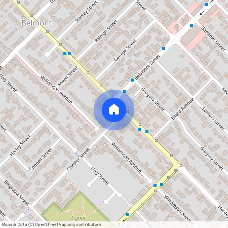 41 Chester street, BELMONT