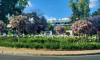 Apartment 2 bedrooms in the center Oeiras for rent - balcony, gardens, balconies - Photo 5