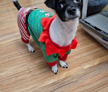 Beverly Hills - Photo 5