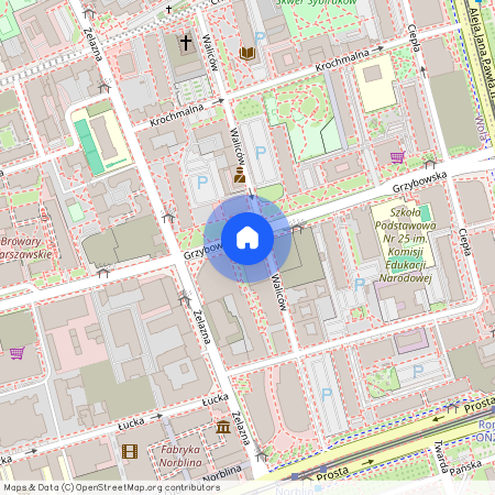 Wola, ul. Grzybowska 43A, Warszawa