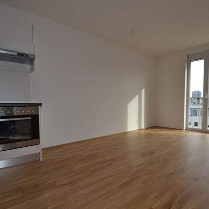 Annenviertel / Zentrum – 55 m² – großer Südbalkon – 2 Zimmer – Schlossbergblick – ab sofort - Photo 1