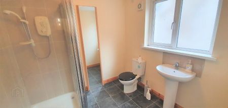 3 Hillhead Road, Ballyclare, BT39 9DS - Photo 5