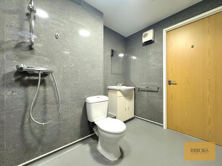 1 bedroom flat to rent - Photo 4