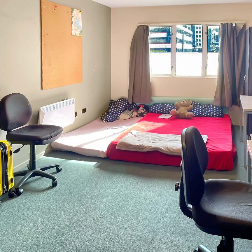 Studio Apartment in the Heart of Wellington! - Photo 1