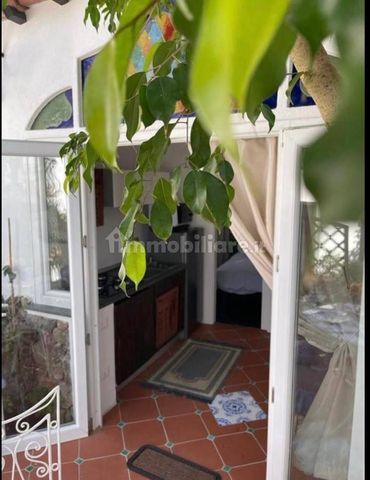 Bilocale via Pannella 29, Lacco Ameno - Foto 5