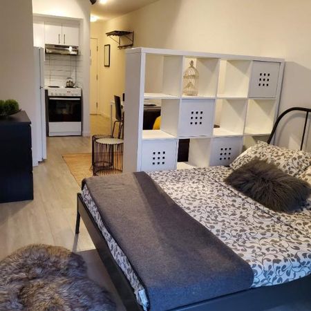 Studio - Montréal - $1,145 /mo - Photo 4