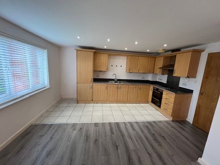 IVES HOUSE – ERCOLANI AVENUE - Photo 2