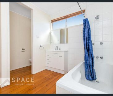 Spacious Family Home in Ashgrove - Photo 5