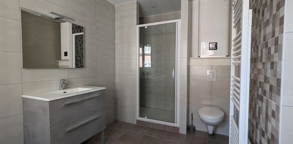 Location Appartement 2 pièces 50m² MULHOUSE 68100 - Photo 2