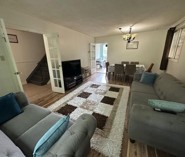For Lease - 257 London Road, Newmarket, Ontario - Photo 2