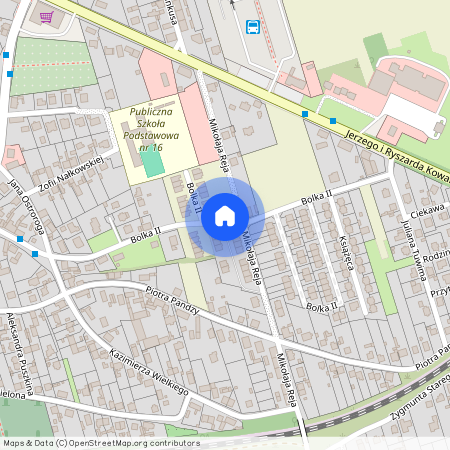 Nowa Wieś Królewska, Opole, opolskie