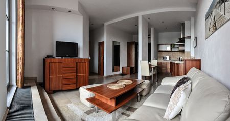 Apartament wynajem Poznań,Grunwald, City Park 48m2 - Zdjęcie 3