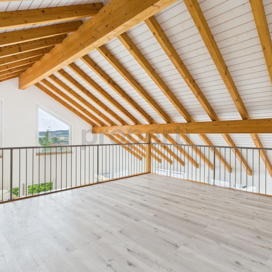 Frisch sanierte und helle Wohnung mit Galerie an toller Lage in Birr - Photo 1