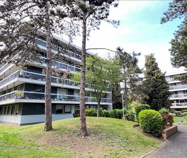 2 pièces - Meublé - 52,41 m² - RDC - Colocation non autorisée - Photo 1