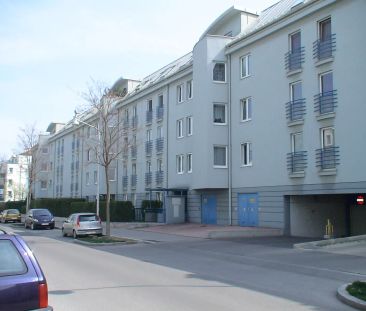 1-Zimmer-Wohnung, Top 6 - Photo 6