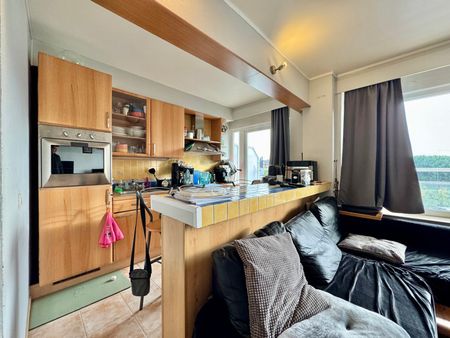 Cuyper 159 - Photo 5