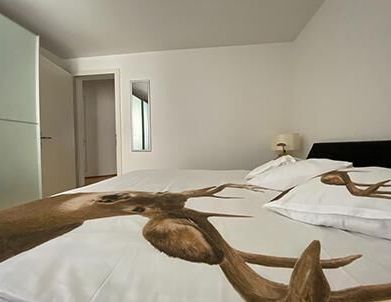 Best hotel alternative, DAILY RENTAL / CHRISTMAS MARKET from CHF 225 / 275 - Foto 1