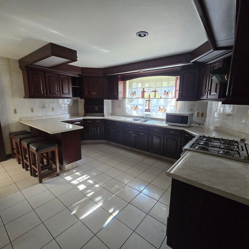 Casa en renta en Virreyes Residencial, Zapopan - Photo 1