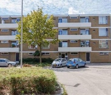 Cederstraat 0ong, 2404 Alphen aan den Rijn, Nederland - Photo 1