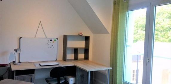 Appartement à louer, 1 pièce - Angers 49000 - Photo 2