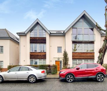 Clementine Court - Photo 4