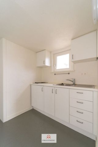 Gezellige duplex in hartje Gent - Foto 2