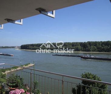 Schiffe zählen. Den ganzen Tag! - Photo 4