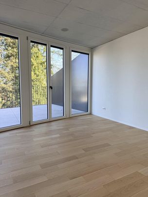 Modernes Attikawohnen im Neubau - 4.5 Zimmer mit riesiger Terrasse - Photo 1