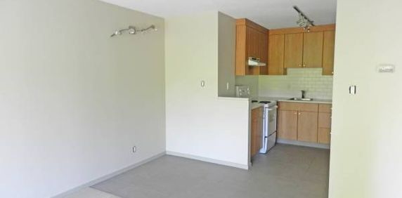 Newly Renovated 1 Bedroom at Pineview Place - Photo 2