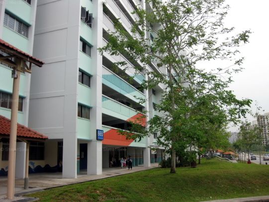 Blk 665 Hougang Avenue 4 (Hougang), HDB 4 Rooms - For Rent - Photo 1
