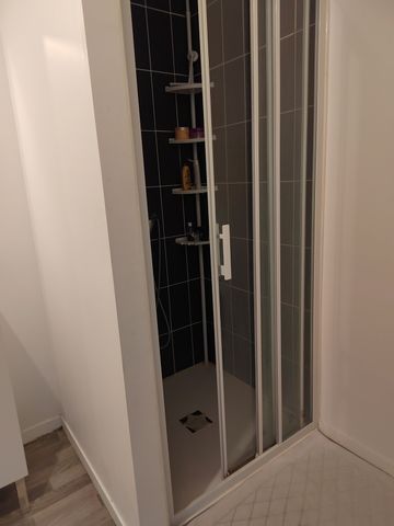 Location Appartement 2 pièces 41m² ST JEAN DE BRAYE 45800 - Photo 5