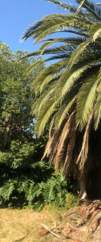 Bentleigh East - Photo 3