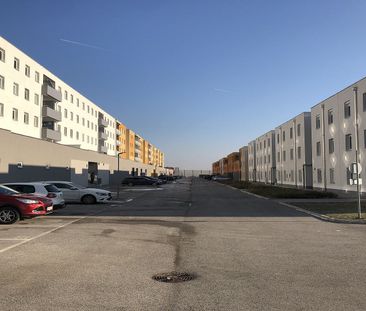 WIENER NEUSTADT VIII/6 - Photo 3