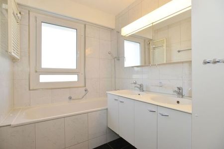 Lake Greifensee within reach - Photo 4