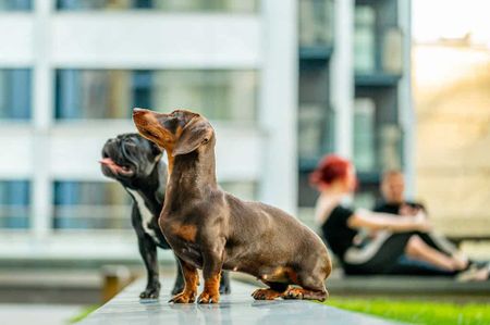 Mawes House, SE17 1EQ, London - Photo 4
