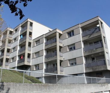 3 Zimmer, 78 m², EG - Photo 1