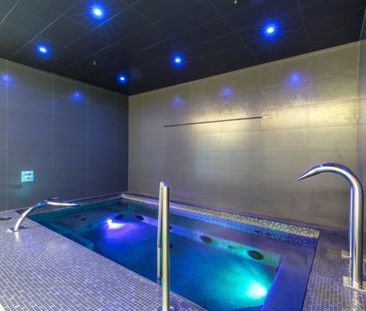 Appartement à louer - Montréal (Le Sud-Ouest) (Griffintown) - Photo 2