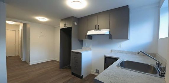 4 1/2 Rénové - promotion 1 mois gratuit - Photo 2