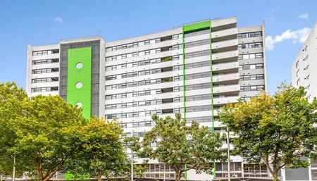 Central Auckland 3BR Gem with Views - Photo 2