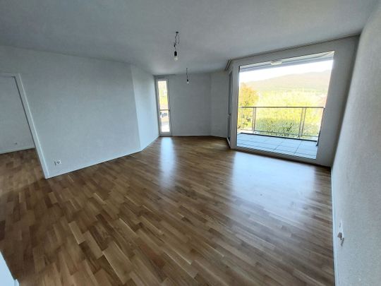 LE TICLE : Appartements neufs à louer - Photo 1