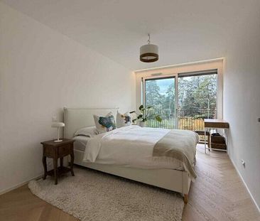 URGENCE – REPRISE DE BAIL : MAGNIFIQUE 3 PIÈCES ATTIQUE À VESSY (GE... - Foto 6