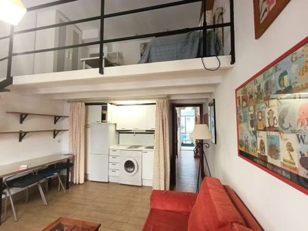 Calle Alfonso XII, Sevilla, Andalusia 41002 - Photo 3