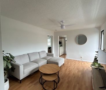 Manly Vale - Photo 1