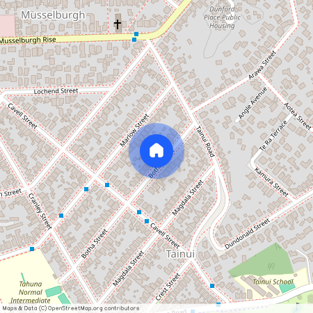 73 Botha Street, 9013, Tainui